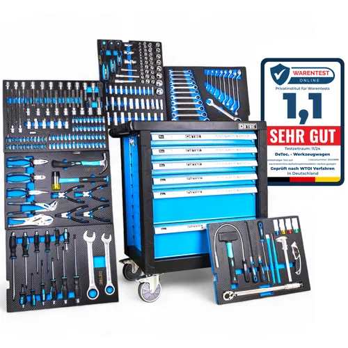 DeTec Werkstattwagen - Bestückter Werkzeugwagen mit 6 Schubladen - Werkzeugschrank mit 6 gefüllten Schubladen, hochwertige Cr-V Stahl Werkzeuge, stabile Polypropylen Arbeitsplatte und kugelgelagerte Auszüge für maximale Mobilität und Komfort.