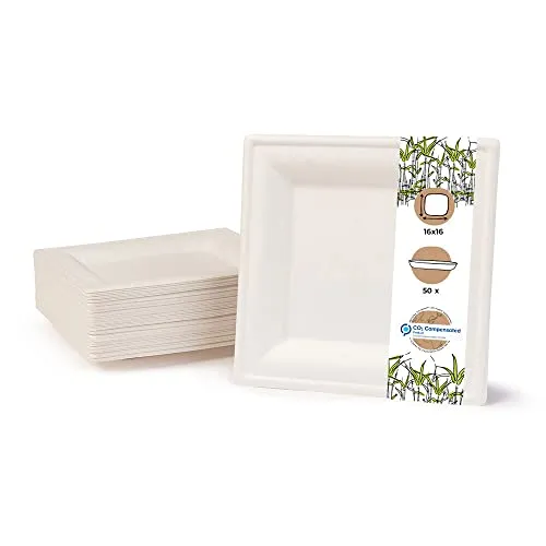 BIOZOYG Einwegteller 50 Stück, weiß eckig - Zuckerrohr Teller 26 x 26 cm - Alternative zu Pappteller & Plastikteller - Stabiles Einweggeschirr, ideal als Partygeschirr