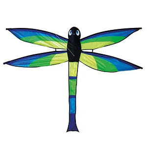 Günther Flug-Drache Bella - Einleiner Drachen mit 107 cm Spannweite, ideal für Kinder ab 6 Jahren und spannende Flugabenteuer