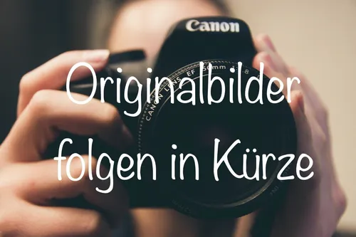 LG 24BQ55WY-B 24'' Full HD Monitor 1920x1200 16:10 IPS 300cd/m 5ms HDMI USB DVI