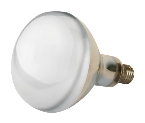 Kerbl Infrarotlampe Kerbl Infrarotlampe klar 150 W, WŠrmelampe fŸr Schweine + GeflŸgel