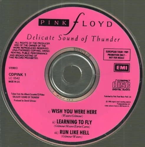 Delicate Sound Of Thunder