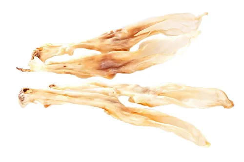 mascota vital - Kaninchenohren