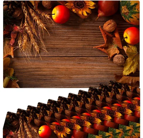 matches21 HOME & HOBBY Platzset Abwaschbare Tischsets 12er Set Landhaus-Stil Herbst-Ernte Holz-Optik, (12-St), Platzsets als Tisch-Untersetzer und Tisch-Deko für Esstisch Teller