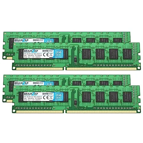 BRAINZAP 8GB (4X 2GB) DDR3 RAM DIMM PC3-8500U 2Rx8 1066 MHz 1.5V CL7 Computer PC Arbeitsspeicher
