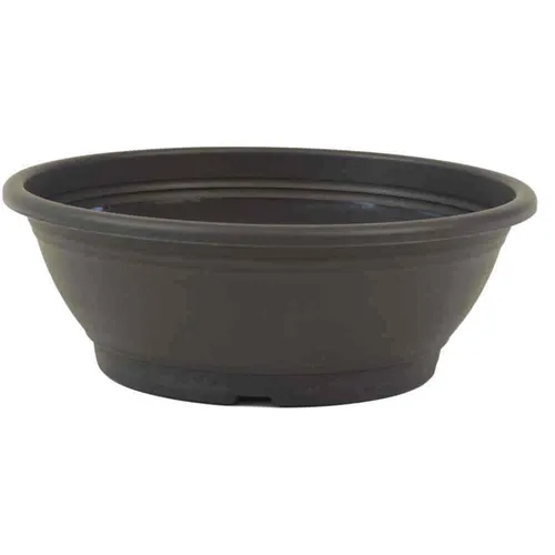 Siena Garden Pflanzschale Ø30 x 10,5 cm anthrazit Rund Blumenschale Topf neu