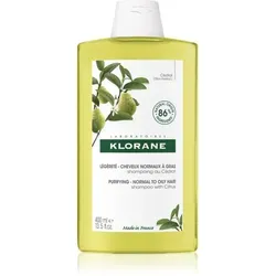 Klorane Cédrat das Reinigungsshampoo für normales bis fettiges Haar 400 ml