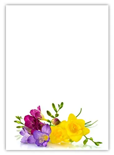 Motiv Briefpapier (Blumen-5028, DIN A4, 100 Blatt). Einseitig bedrucktes Briefpapier, sehr gut beschreibbar, Motivpapier für alle Drucker/Kopierer geeignet Motiv Blumen wunderschöne Freesien gelb lila blau