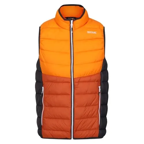 Regatta Harrock II Herren-Bodywarmer - Leichter, gepolsterter Bodywarmer aus hochwertigem 20D-Polyamidgewebe mit recycelter Daunenisolierung. Ideal für Outdoor-Aktivitäten und vielseitig einsetzbar. Mit praktischen Reißverschlusstaschen und Stretch-Bindung für optimalen Komfort.