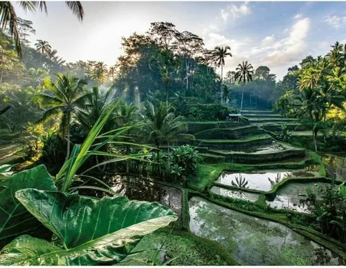 2000-teiliges Puzzle. Im Herzen von Bali. Für Erwachsene und Kinder ab 14 Jahren. Escape Collection. 12001518. Nathan