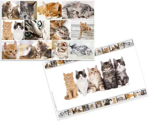 HERMA Schreibtischunterlage Schreibunterlage 55x35cm Katzen (3 Stück)