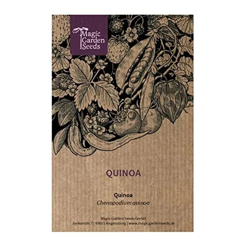 Quinoa (Chenopodium quinoa) - ca. 500 Samen
