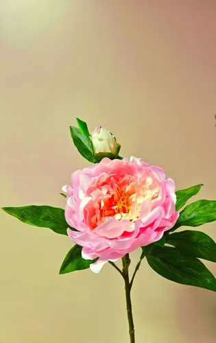 artplants Kunstblume Pfingstrose FYRFAR, offen, rosa, 60cm