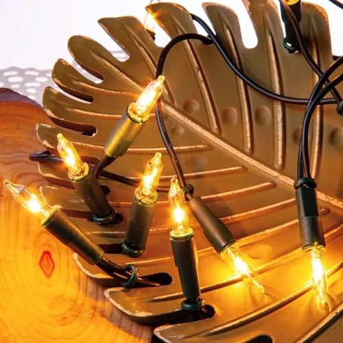 Hellum Lichterkette innen, Weihnachtslichter, 20 warme, helle Lampen, beleuchtete Länge 2,85m, Kabelfarbe grün, 832013