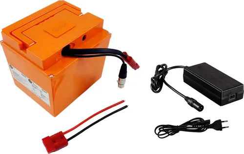 TZIpower 60V 20Ah Pedelec Akku mit Plastikgehäuse - Hochleistungs-Akku für Pedelecs und E-Bikes, 20Ah Kapazität für lange Fahrten, inklusive Ladegerät und Powerkabel. Ideal für Umbausätze und Scooter.