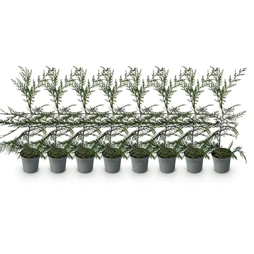 GreenboutiQ