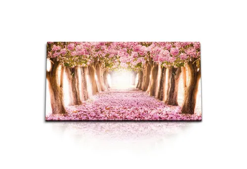 Sinus Art Leinwandbild Kunstdruck Bilder 120x60cm Pinke Baumblüten Frühling Park Baumallee Ro, (1 St)