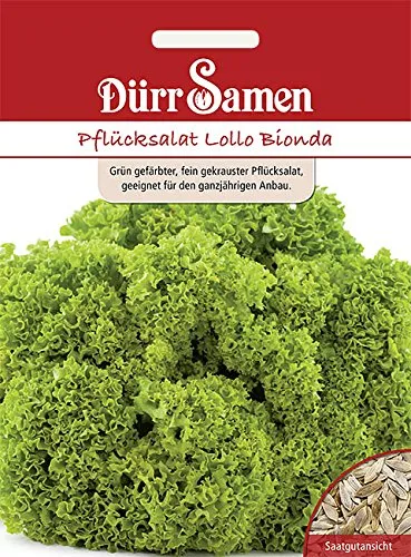Dürr-Samen - Pflücksalat Lollo Bionda Saatgut