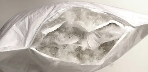 Betten Hofmann 3-Kammer-Kopfkissen Betten Hofmann Luxus 3-Kammer-Kopfkissen 65x100 cm Kissen Polster, Kopfkissen, Rückenschläfer, Seitenschläfer