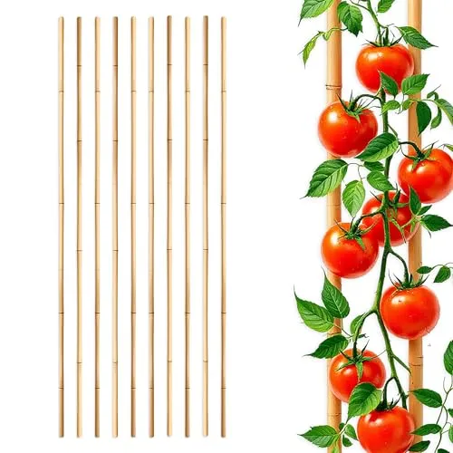 Bambus Pflanzstab für Rankgewächse 105 cm Länge - 10 Stück - Bambusstab Rankhilfe für Tomatenpflanzen - Holz Pflanzenstütze Banbusstange Tonkinstab Holzstab Kletterhilfe für Tomaten Gurken Pflanzen
