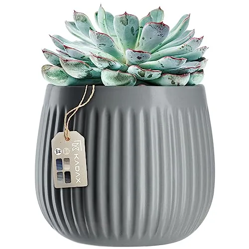 KADAX Blumentopf, Keramikpflanztopf mit Dekoprägungen, Pflanztopf in 4 Farbvarianten, Blumenkübel für Zimmerpflanzen aus Keramik, Übertopf im Zeit-losem Design (14cm, Grau)