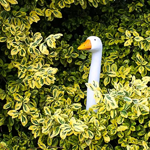 colourliving Gartenfigur Gans Gänsekopf Gartenstecker Gänsehals Gänse Deko Garten Dekoration 36cm