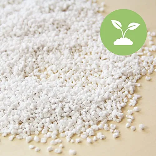 Terra Exotica Perlite für Pflanzen