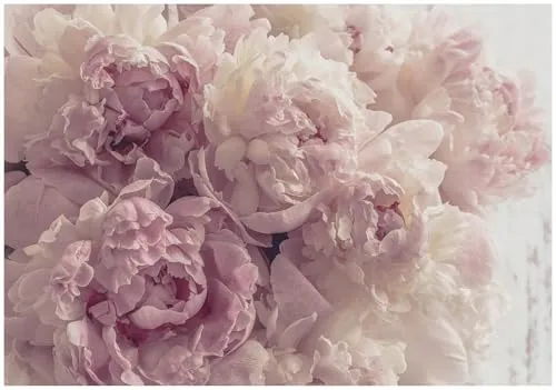 Wallarena Fototapete, mehrfarbig,Wallarena