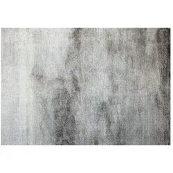 Obsession Fellteppich Eternity 500 - Kuscheliger Kunstfellteppich in Grau - Teppich in rechteckiger Form, 160 x 230 cm, aus weich & kuscheligem Kunstfell. Ideal für gemütliche Wohnräume und Fußbodenheizungsgeeignet.