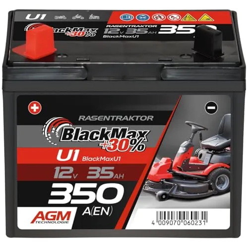 BlackMax Rasentraktor Batterie 12V 35Ah von BlackMax
