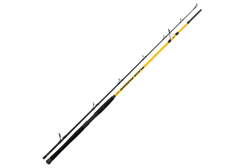 Black Cat Black Passion G2 Spin 240cm 50-200g - Angelrute zum Wallerangeln, 240cm lang, 2-teilig und ideal für Flüsse & Seen, bietet ausgewogene Blank-Parabolik für präzises Spinnfischen.