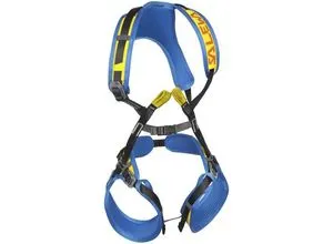 Salewa Rookie Ganzkörpergurt, Gelb