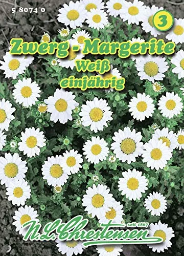 N.L. Chrestensen 580740 Zwergmargerite (Zwergmargeritensamen)