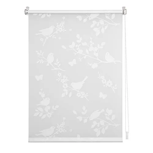 Jalousien & Rollos Weiß von Lichtblick