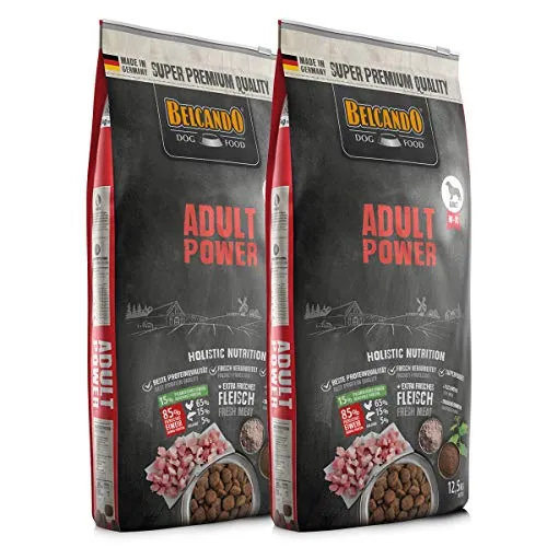 Belcando Adult Power Trockenfutter 12,5 kg - Sparpaket für aktive Hunde - Hundefutter für sportliche Hunde, reich an Proteinen und Nährstoffen, ideal für optimale Leistungsfähigkeit.