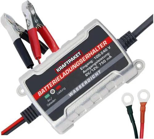Dino-Kraftpaket Autobatterie-Ladegerät 6V/12V, 750mA - Fahrzeugbatterie-Ladegerät für 6V und 12V Blei-Säure-Batterien, vollautomatisches Laden mit Erhaltungsladung, schützt Ihre Batterie und verlängert deren Lebensdauer.