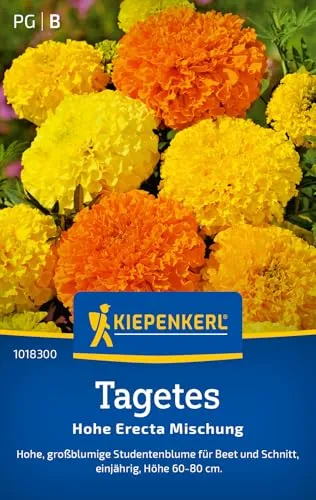 Kiepenkerl Tagetessamen Hohe Erecta Mischung 1018300 von Kiepenkerl