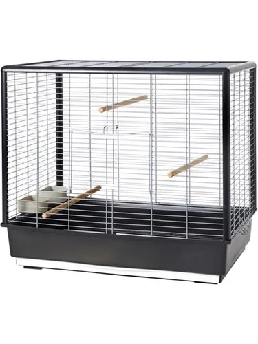 Noah 60 Knock Down wire: Silber - Fesselndes Drama - Filme, das packende Drama über Identität und Selbstfindung, das mit beeindruckender Bildsprache und emotionaler Tiefe überzeugt.