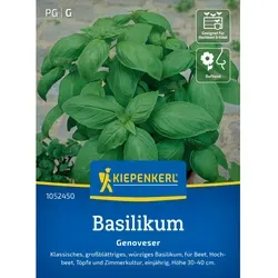Kiepenkerl Basilikum Genoveser