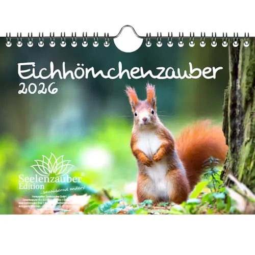 Eichhörnchenzauber DIN A5 Kalender für 2026 Eichhörnchen - Seelenzauber