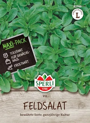 Feldsalat Vit, Maxipack 25 g von Sperli - Saatgut