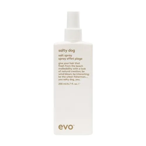 EVO Styling-Spray Salty Dog - Mattes Beach Spray für Volumen - Mattes Beach Spray mit Mineralsalzen für feines Haar. Verleiht griffige Textur und Fülle. Ideal für alle Haartypen, sorgt für einen natürlichen Look und unterstützt den Style.