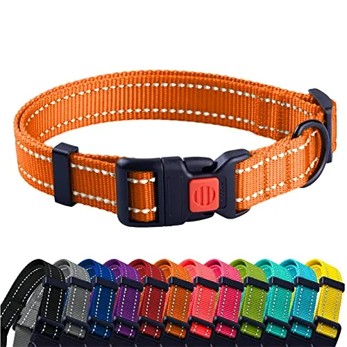 CollarDirect Reflektierendes Hundehalsband für kleinen, mittelgroßen, großen Hund, Welpen mit Schnellverschluss, Hündin, Rüde, 48 Sorten, Nylon Wasserfest