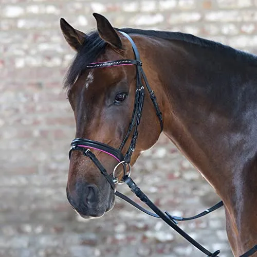 Zaumzeug von Waldhausen