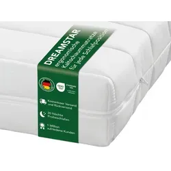 DREAMSTAR Easy Sleep Ergonomische Kaltschaummatratze 90x200 cm H3 - Vielseitige 7-Zonen Kaltschaummatratze für optimalen Liegekomfort. Atmungsaktiver Mikrofaserbezug, abnehmbar und waschbar bei 60°C. Ideal für alle Schlaftypen.