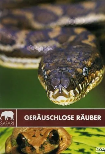Safari - Geräuschlose Räuber