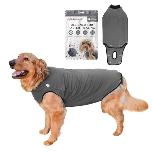 BellyGuard Hundebody nach OP für Hündin & Rüde, OP Body Hund Kastration Hündin, Hunde Body Operation Hündin, Body für Hunde nach OP & Hundebody nach Kastration Rüde, Alternative zu Halskrause