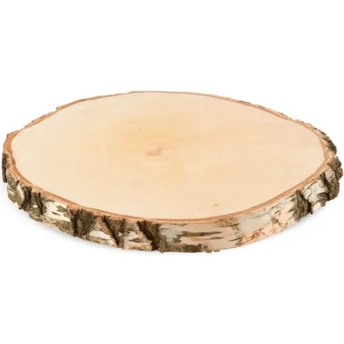 Große Holzscheibe zum Basteln oder Dekorieren - 1 Stück naturbelassene Baumscheibe ca. 35 cm (33 - 37 cm) Durchmesser aus Birkenholz - runde Holz Birkenscheibe als Holzdeko Holzplatten