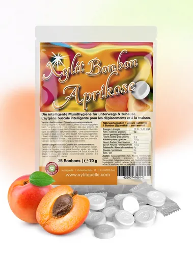 70g Xylit Birkenzucker Bonbons APRIKOSE | 100% mit Xylit gesüsst | 35 Bonbons