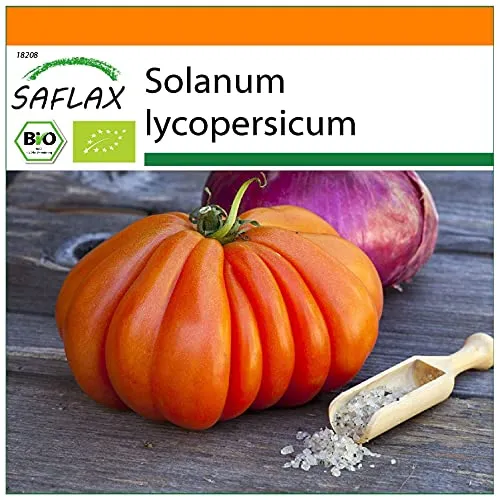 SAFLAX - Garden in the Bag - BIO - Tomate - Ochsenherz - 10 Samen - Mit Anzuchtsubstrat im praktischen, selbst aufstellenden Beutel - Solanum lycopersicum